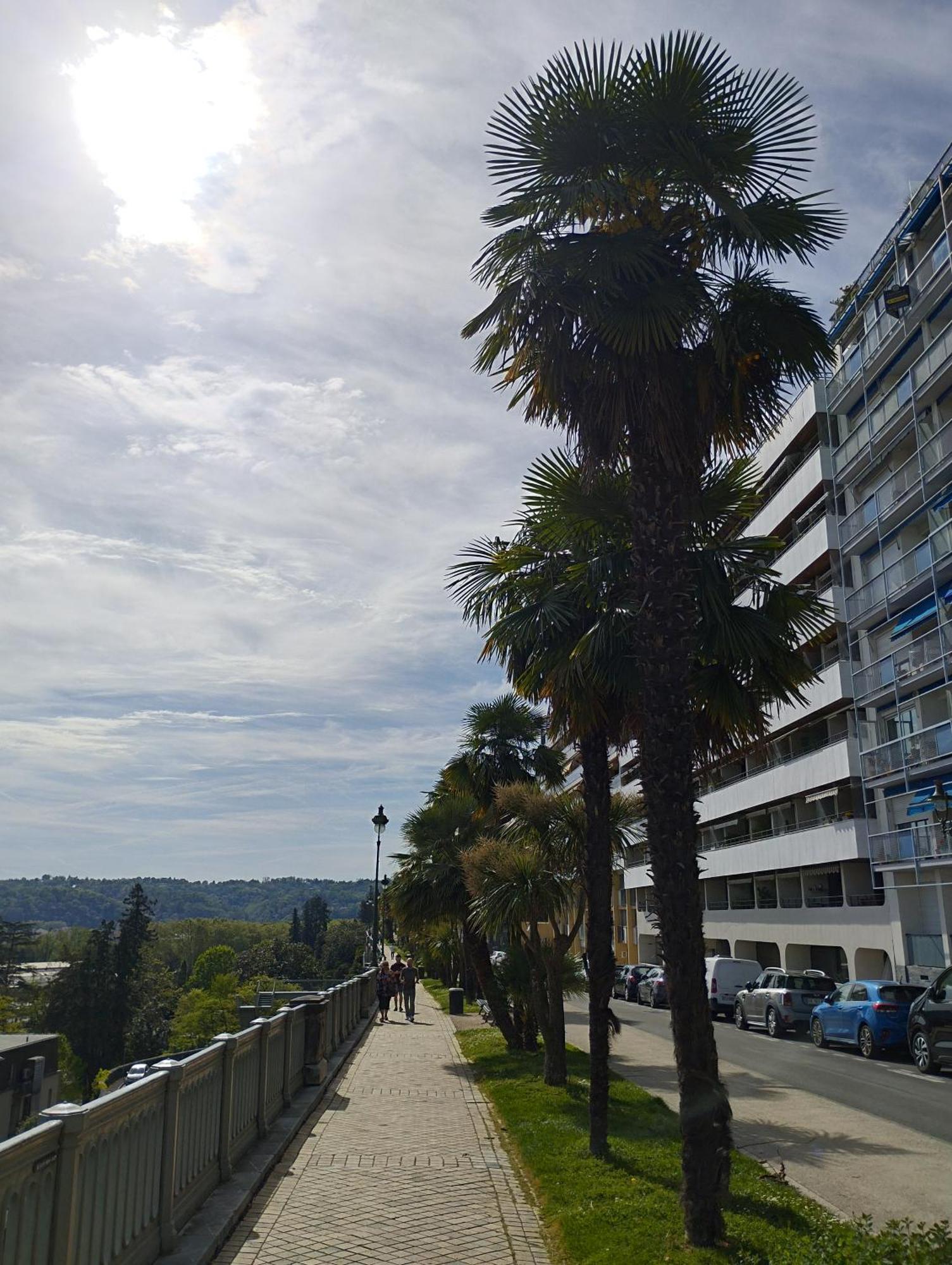 Chambrette Boulevard Des Pyrenees Hypercentre 10M Carre Wc Sur Le Palier, Porte40 Pau Zewnętrze zdjęcie